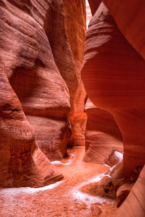 brown rock formation during daytime