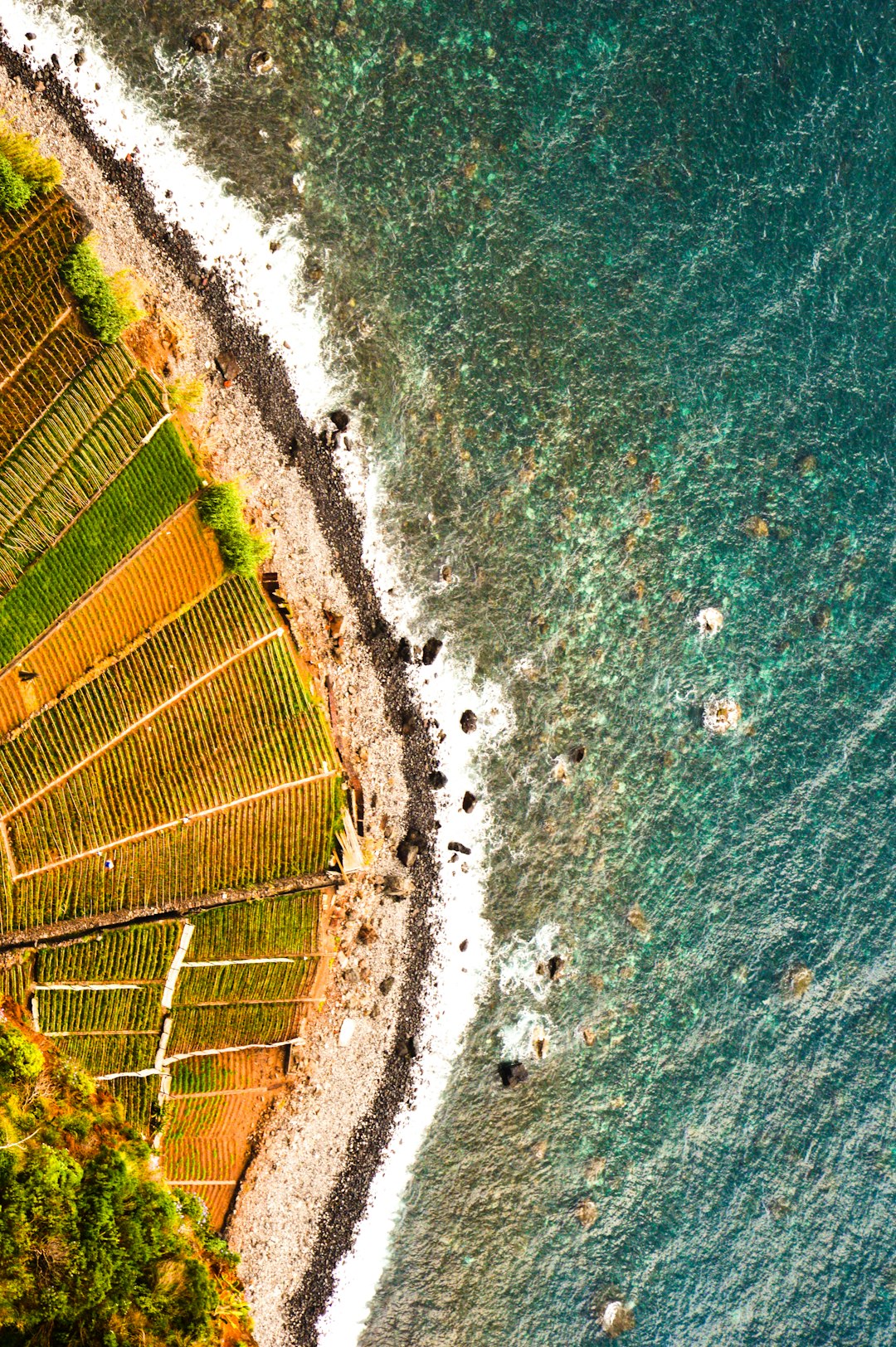 travelers stories about Bay in Madeira, Portugal