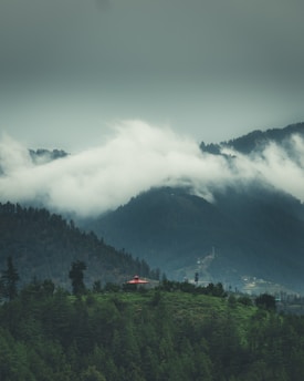 green trees near mountain under white clouds during daytime