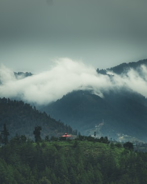 green trees near mountain under white clouds during daytime