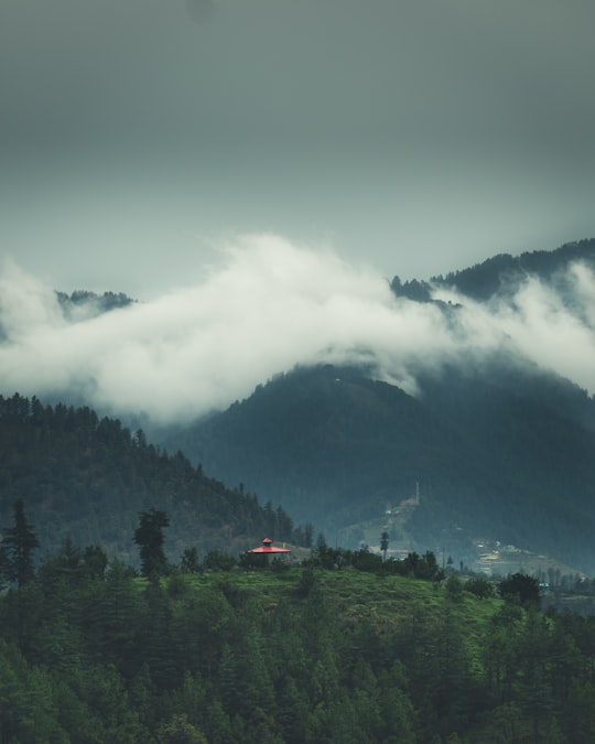 green trees near mountain under white clouds during daytime in Karsog India