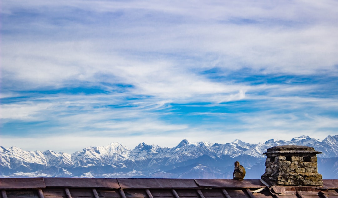 Hill station photo spot Dalhousie Dal Lake