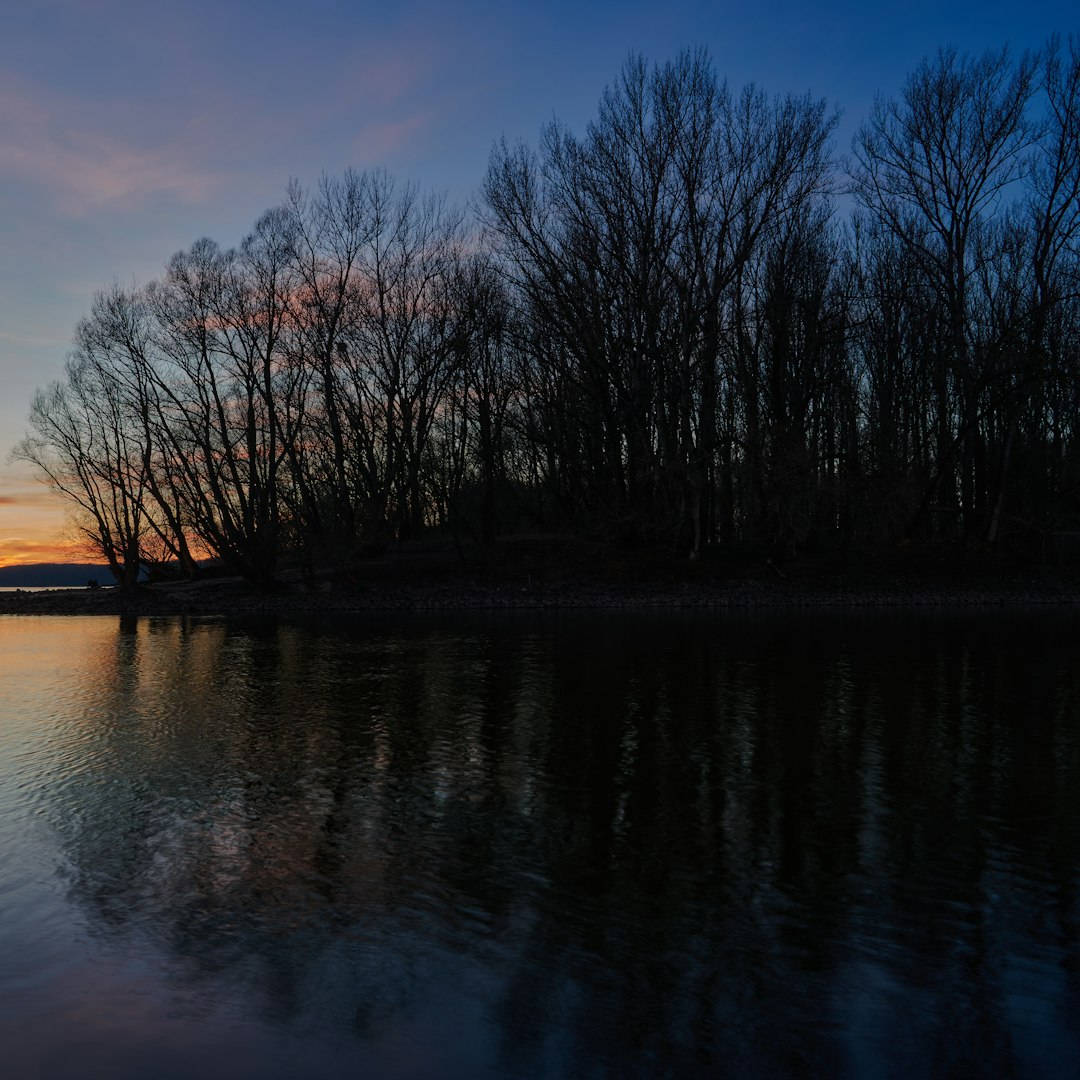 travelers stories about Lake in DevÃ­n, Slovakia