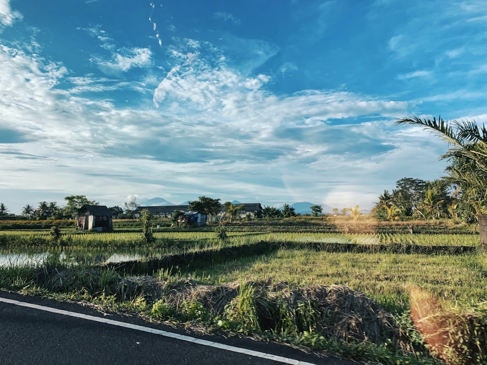 Grünes Grasfeld unter blauem Himmel tagsüber