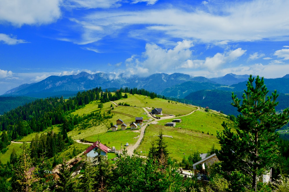 green trees and mountains under blue sky and white clouds during daytime