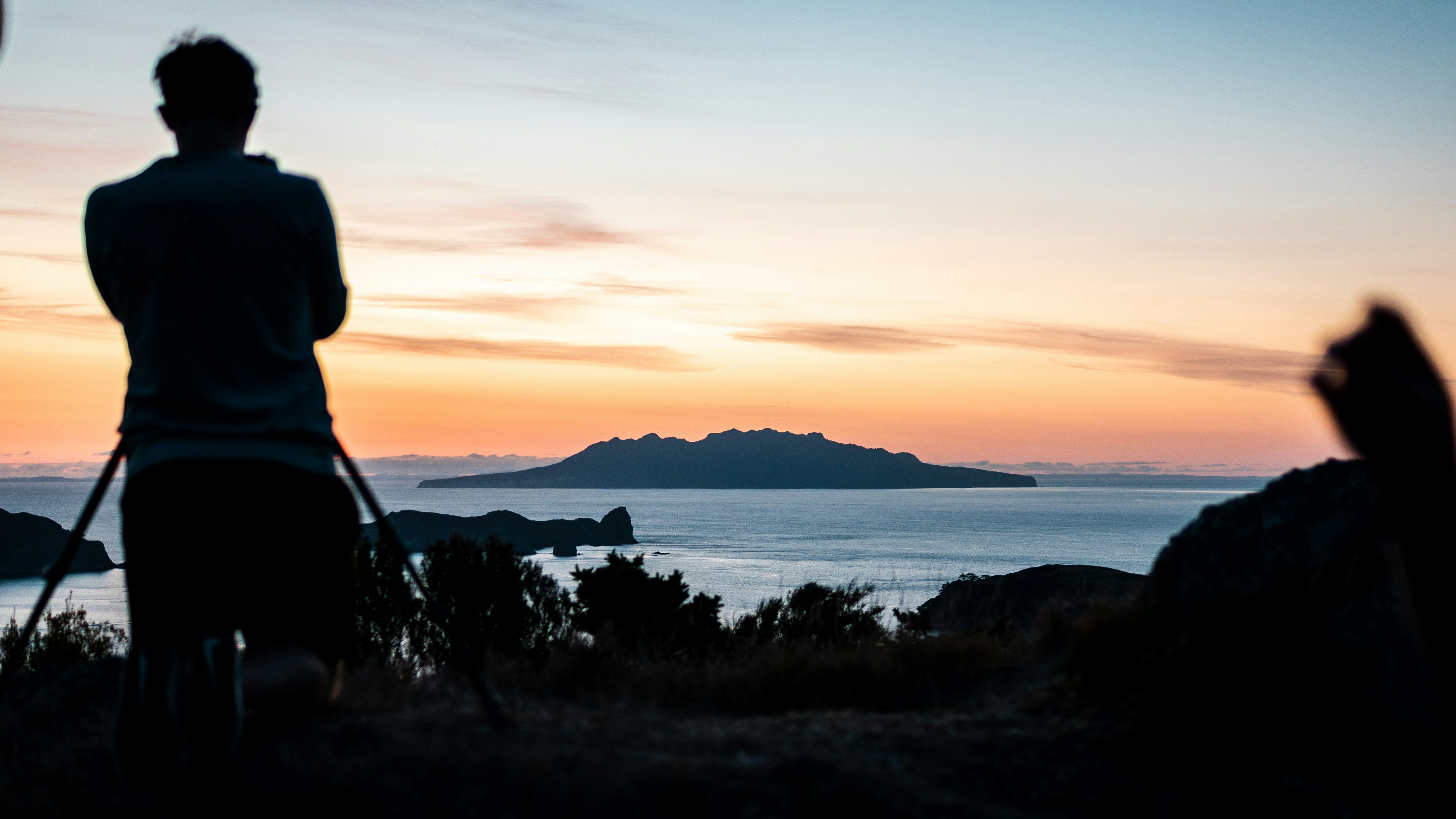 silhouette of person standing on grass near body of water during sunset nz zoom background