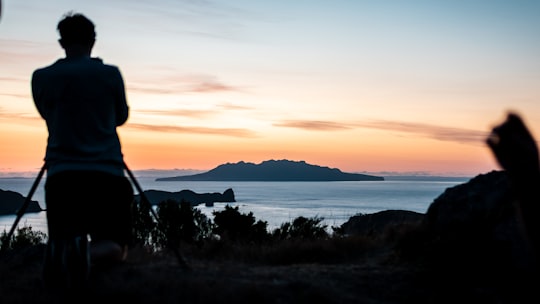 silhouette of person standing on grass near body of water during sunset in Great Barrier Island New Zealand