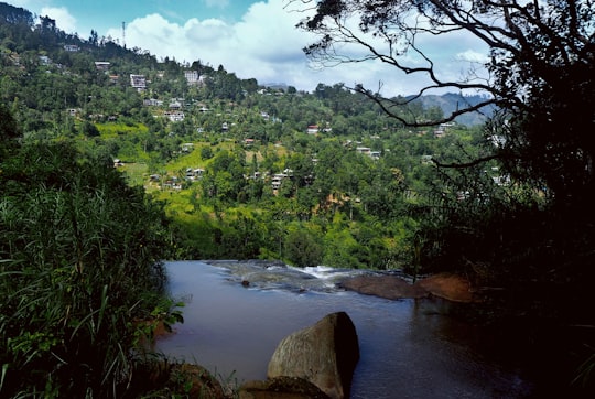 green trees beside river under blue sky during daytime in Ella Sri Lanka