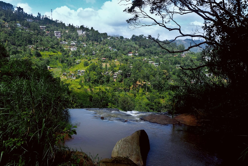 green trees beside river under blue sky during daytime