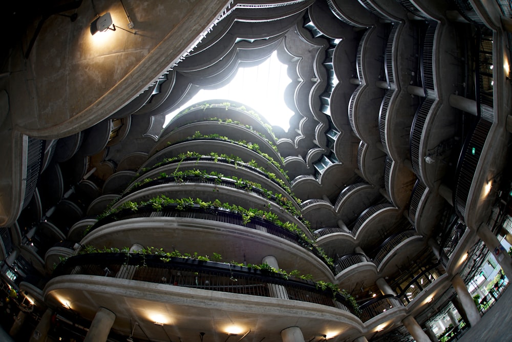 edificio in cemento bianco e nero