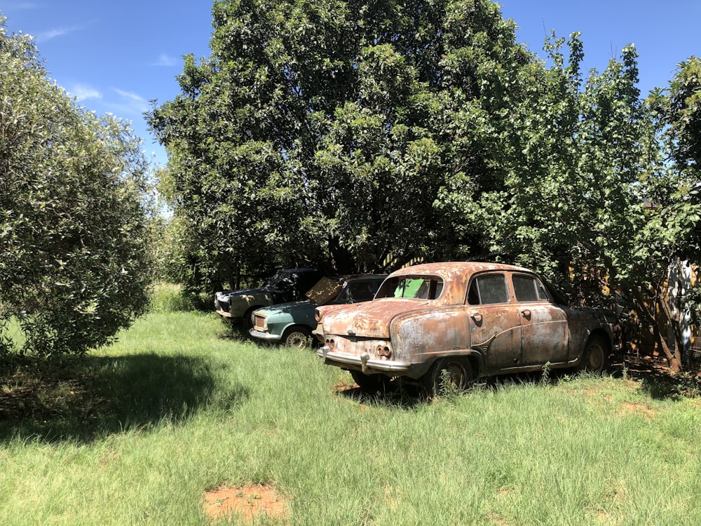 brown station wagon parked beside green tree during daytime