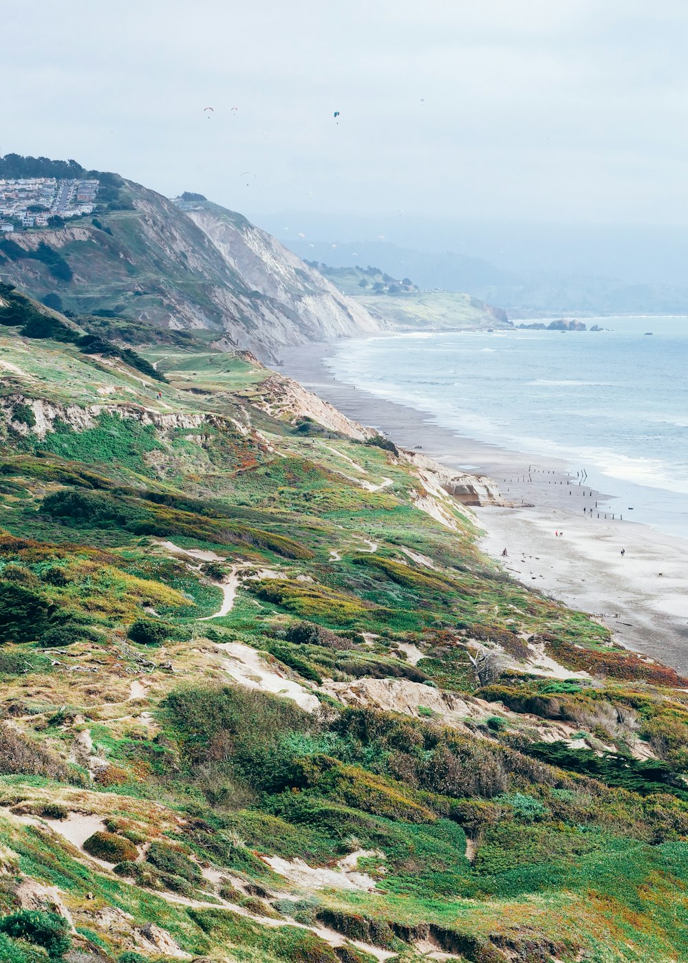 green and brown mountain beside sea during daytime