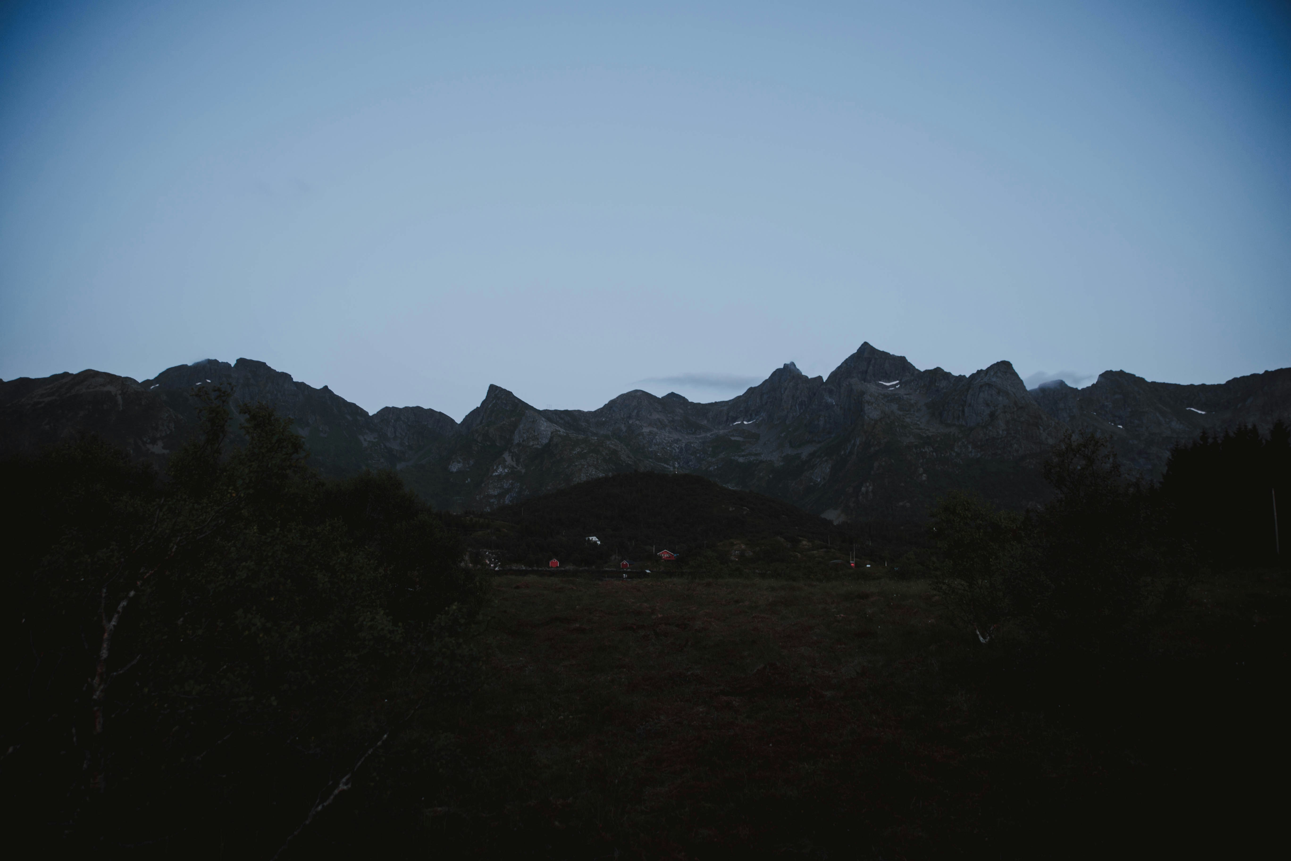 green trees and mountains during daytime