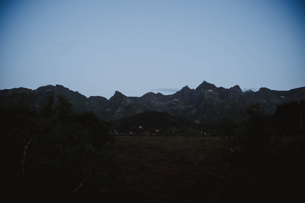 green trees and mountains during daytime