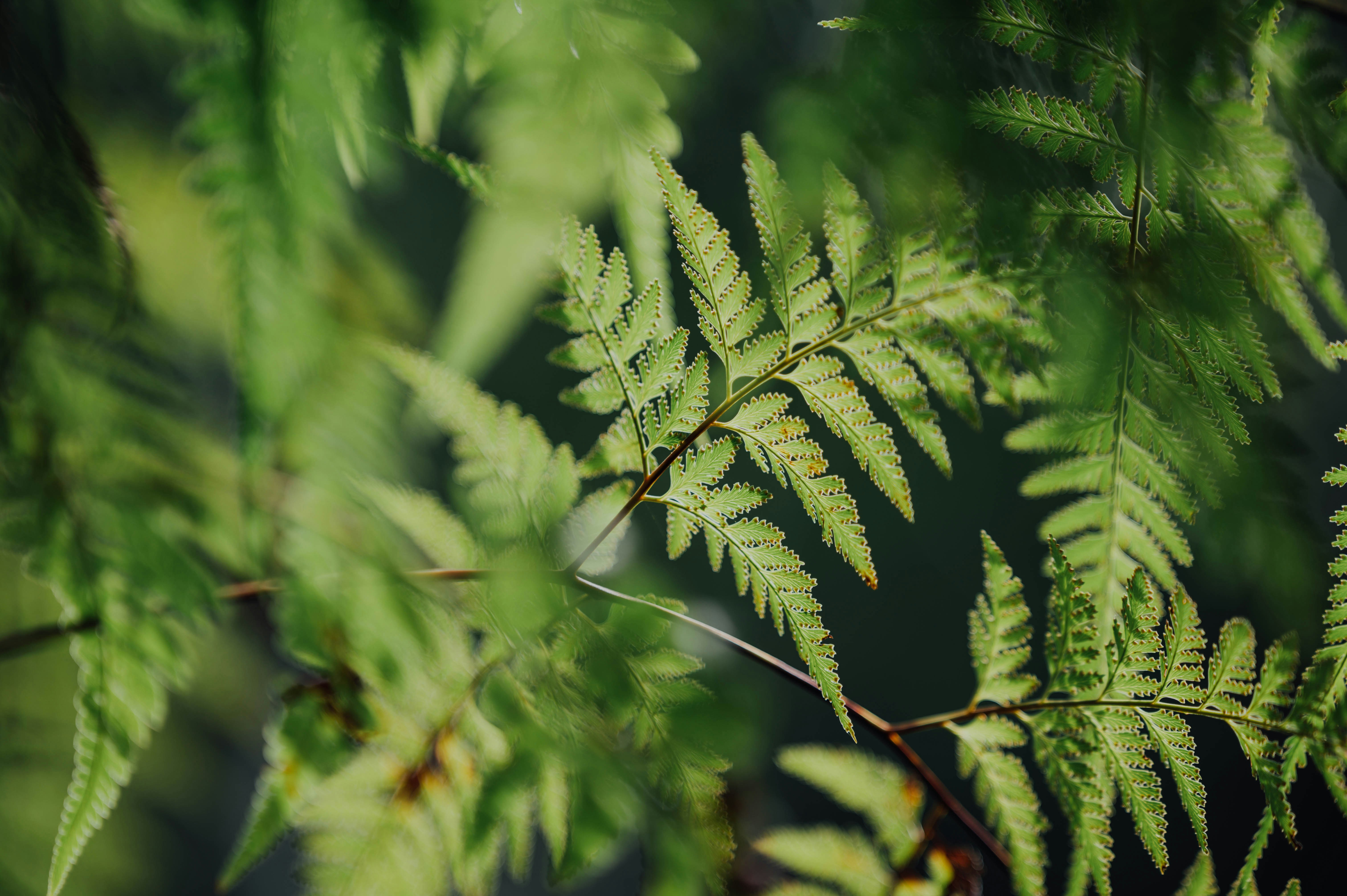 Photo by chuttersnap