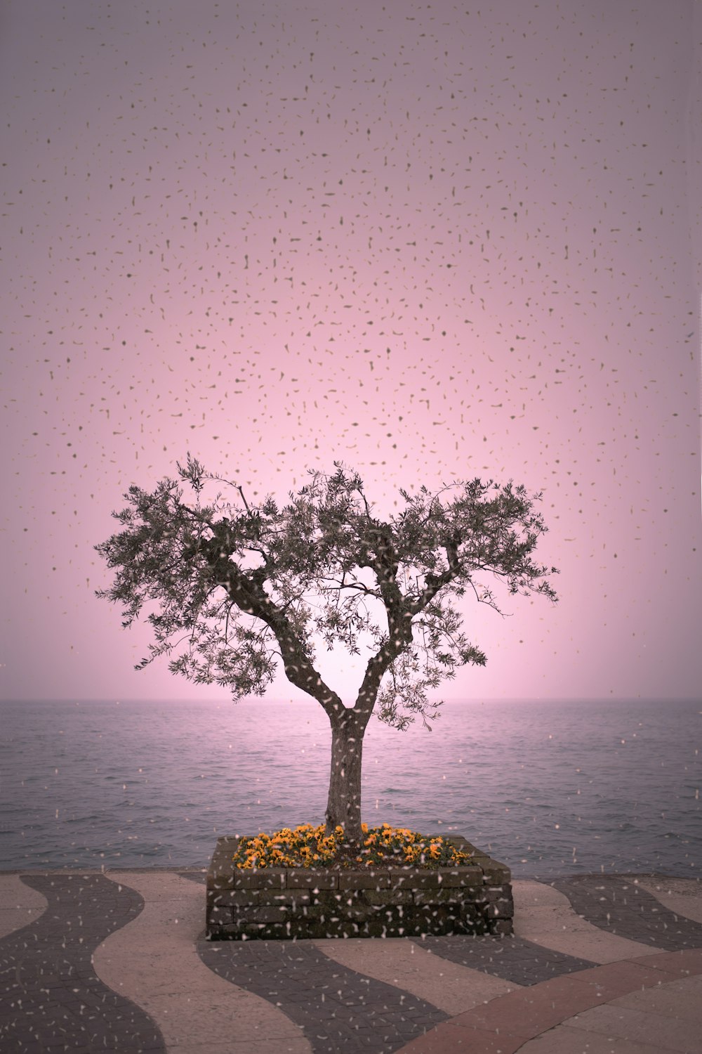 tree on rock near body of water during daytime