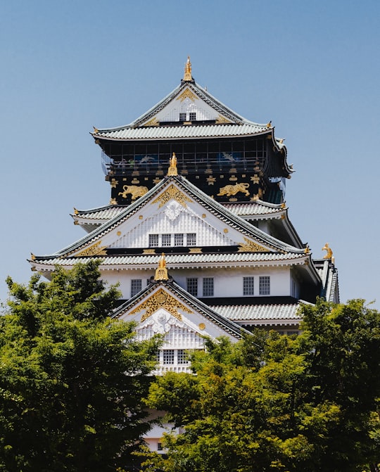 white and gold temple surrounded by green trees during daytime in Osaka Castle Park Japan