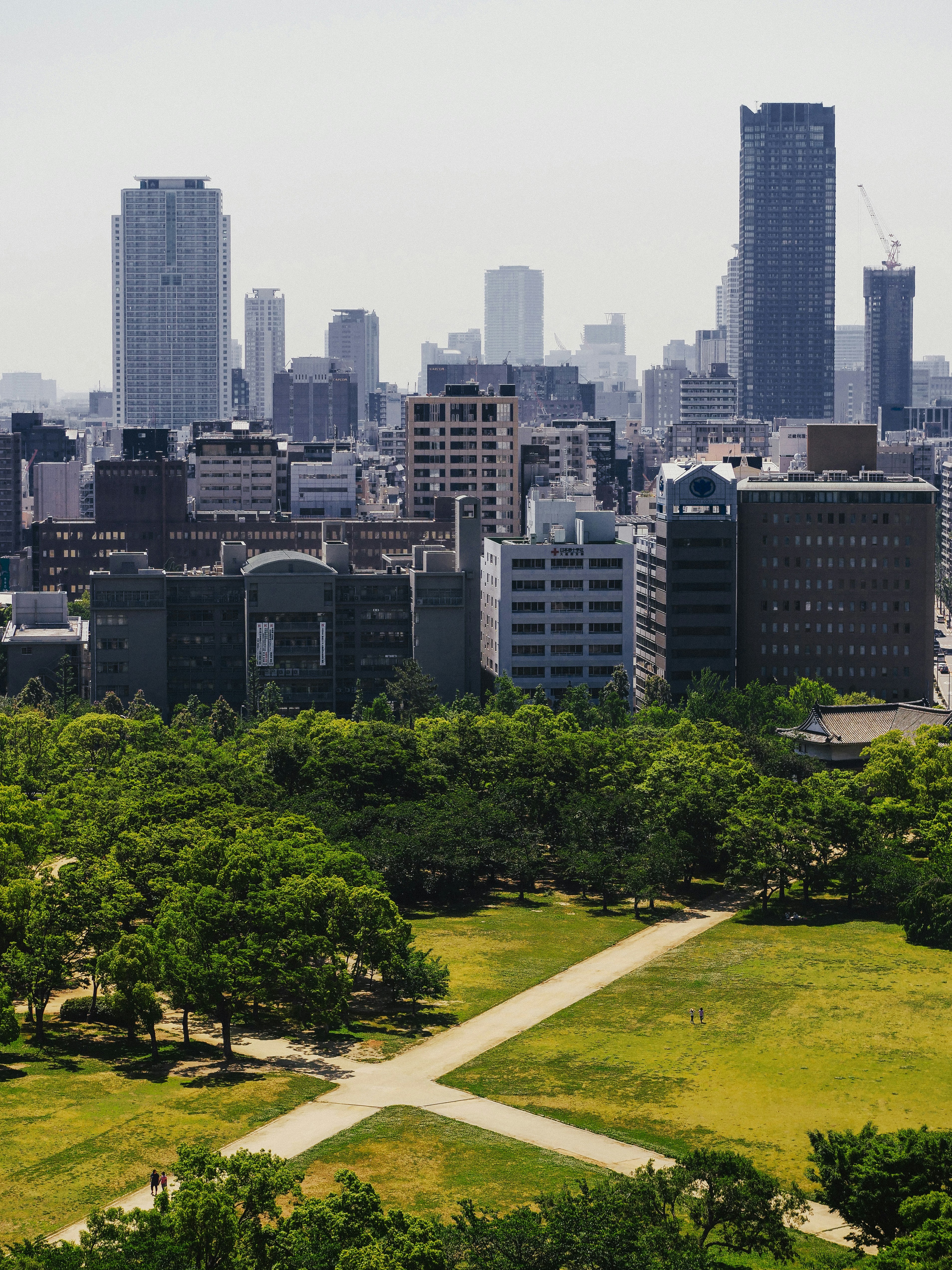 Photo by cosminserban