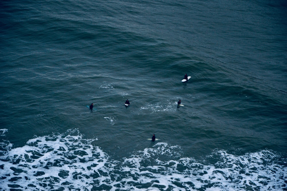 people swimming on sea during daytime