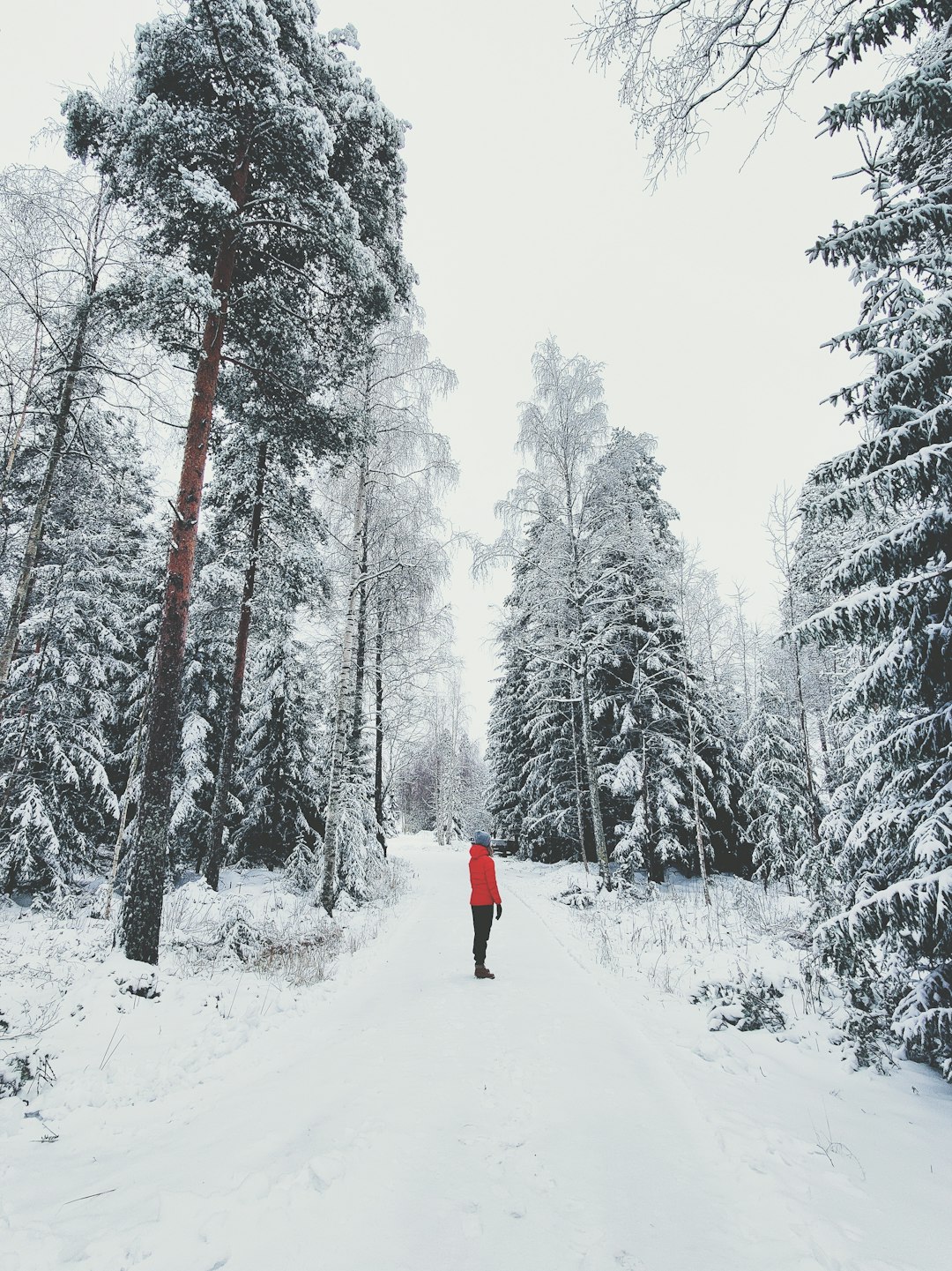 person in red jacket and black pants walking on snow covered pathway between trees during daytime