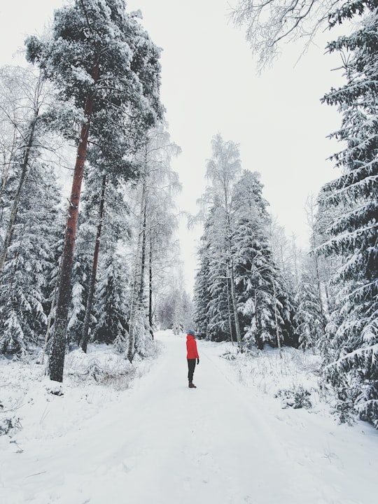 person in red jacket and black pants walking on snow covered pathway between trees during daytime in Seinäjoki Finland