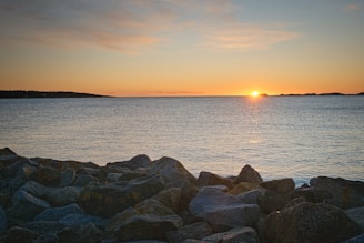 A serene coastal scene at sunset with soft warm light filtering through natural elements.