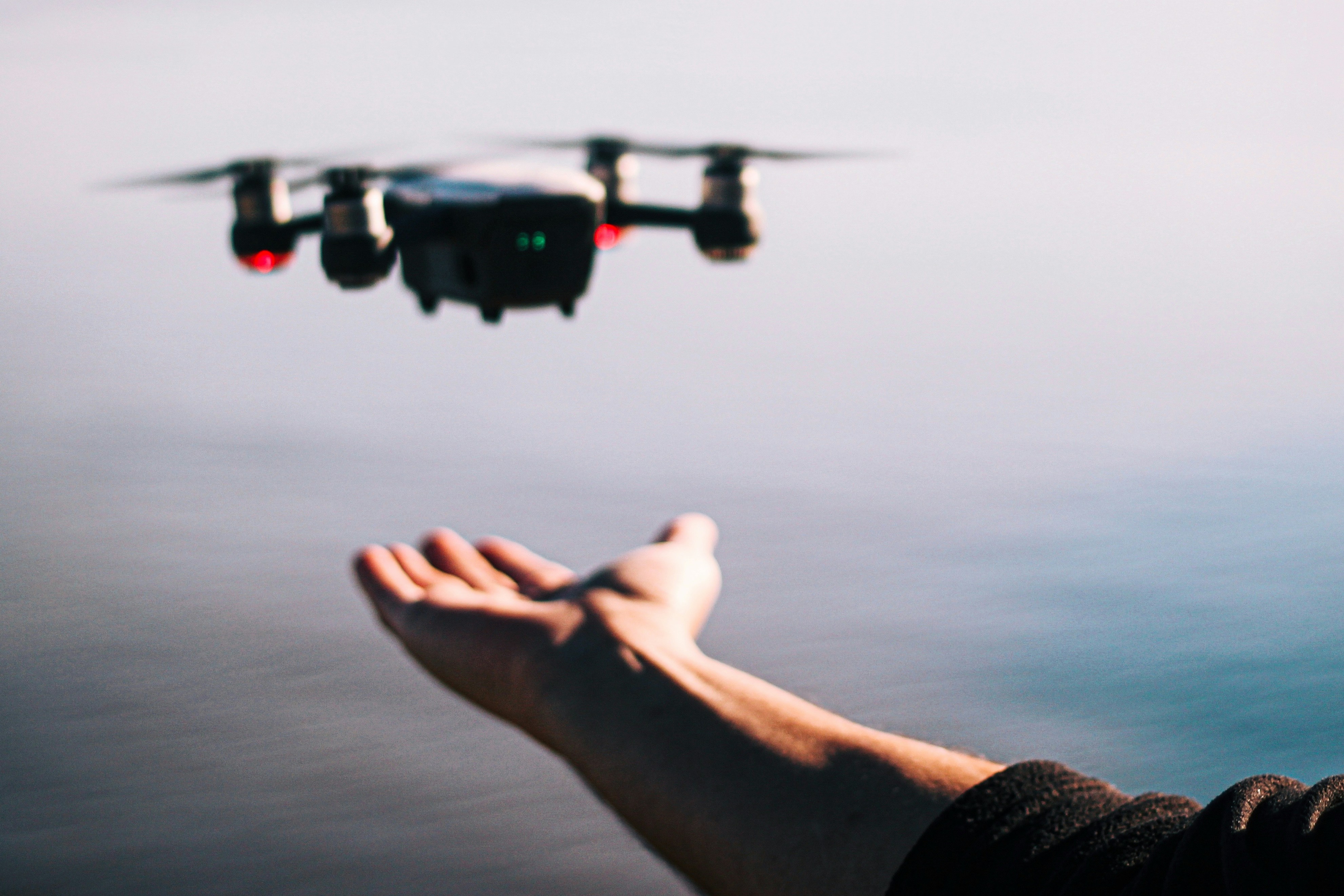 person holding black and white drone