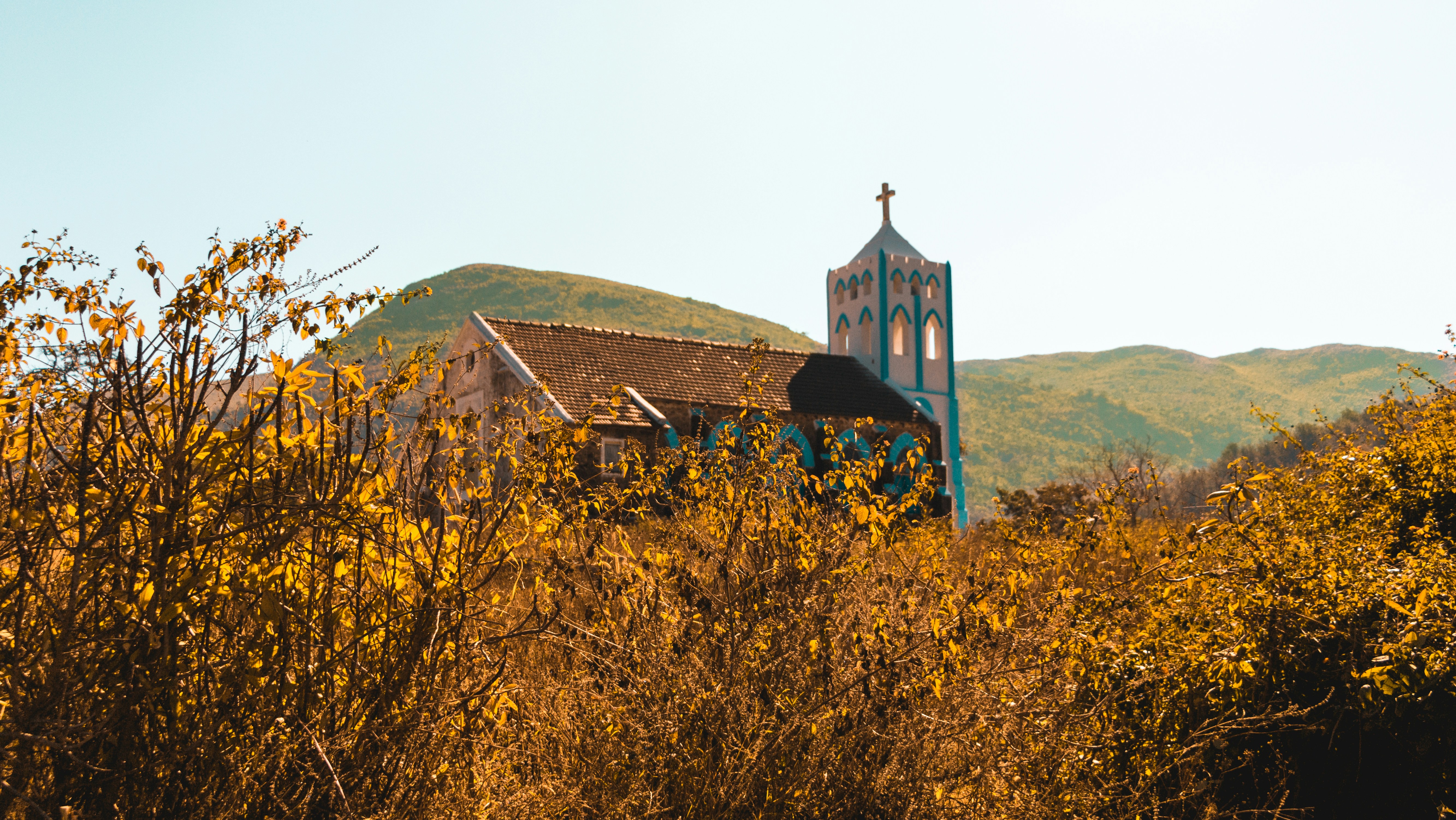 brown and black concrete building near yellow flower field during daytime, 