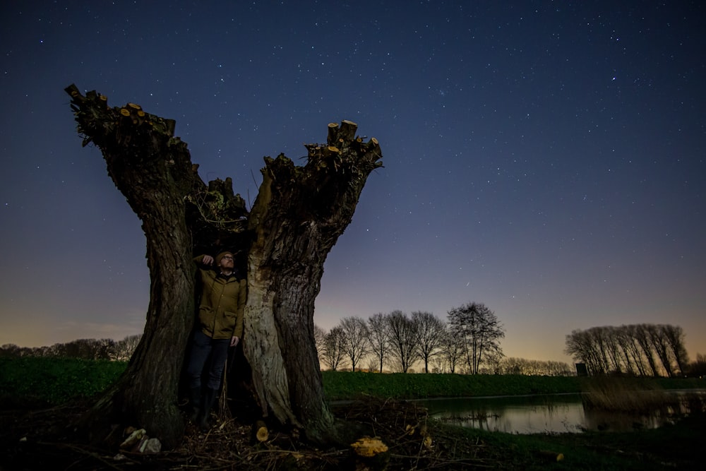 woman in blue jacket standing beside tree during night time