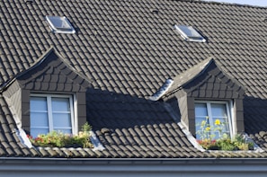 brown roof tiles near green plant during daytime