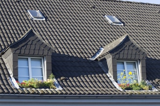 brown roof tiles near green plant during daytime