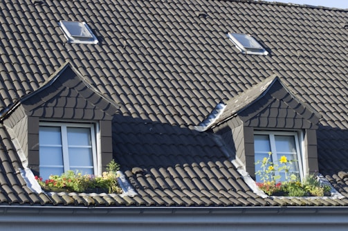 brown roof tiles near green plant during daytime