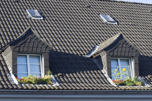 brown roof tiles near green plant during daytime