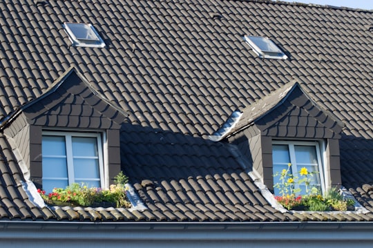 brown roof tiles near green plant during daytime in Mülheim an der Ruhr Germany