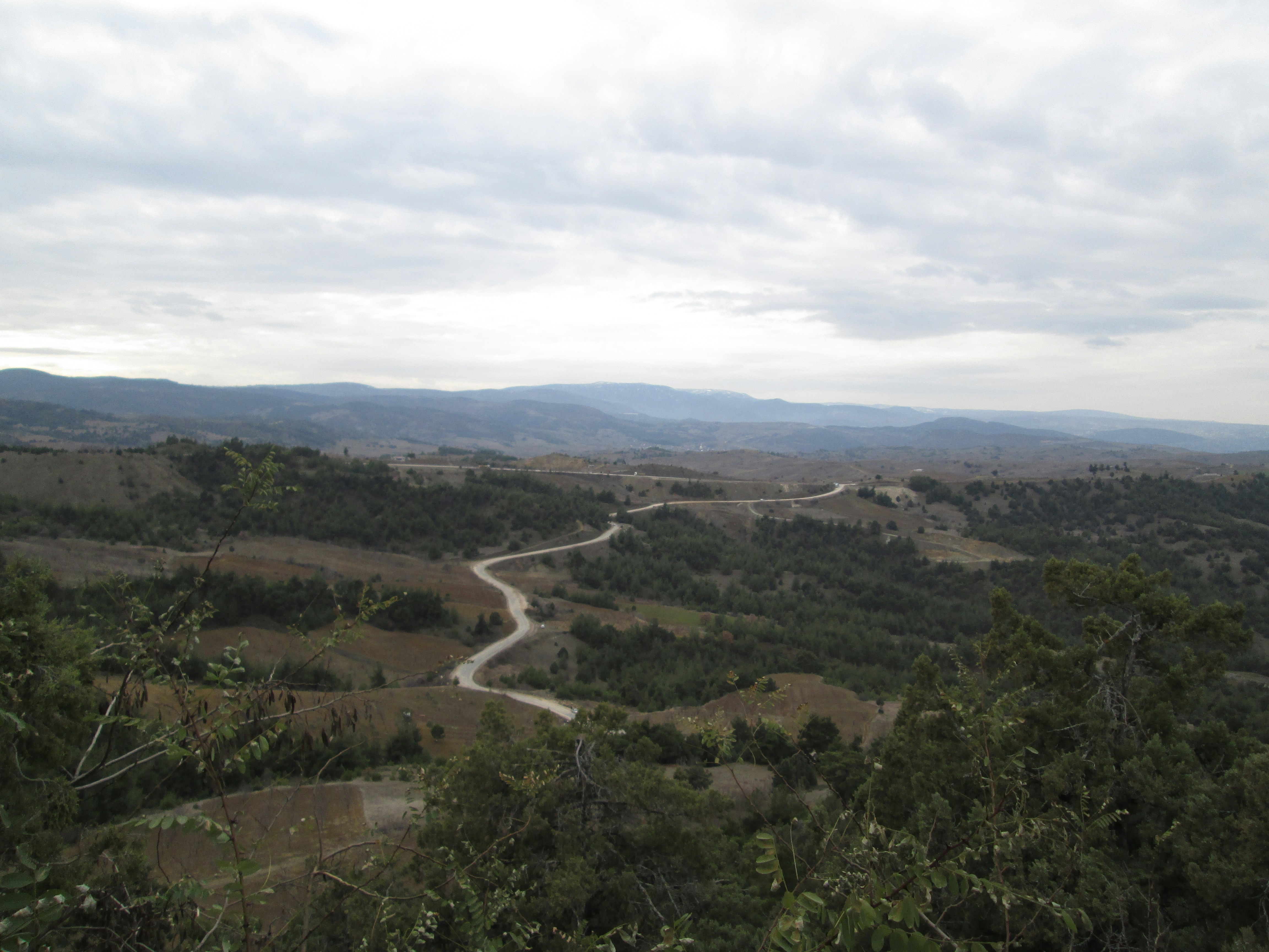 Photo by alpersentekin