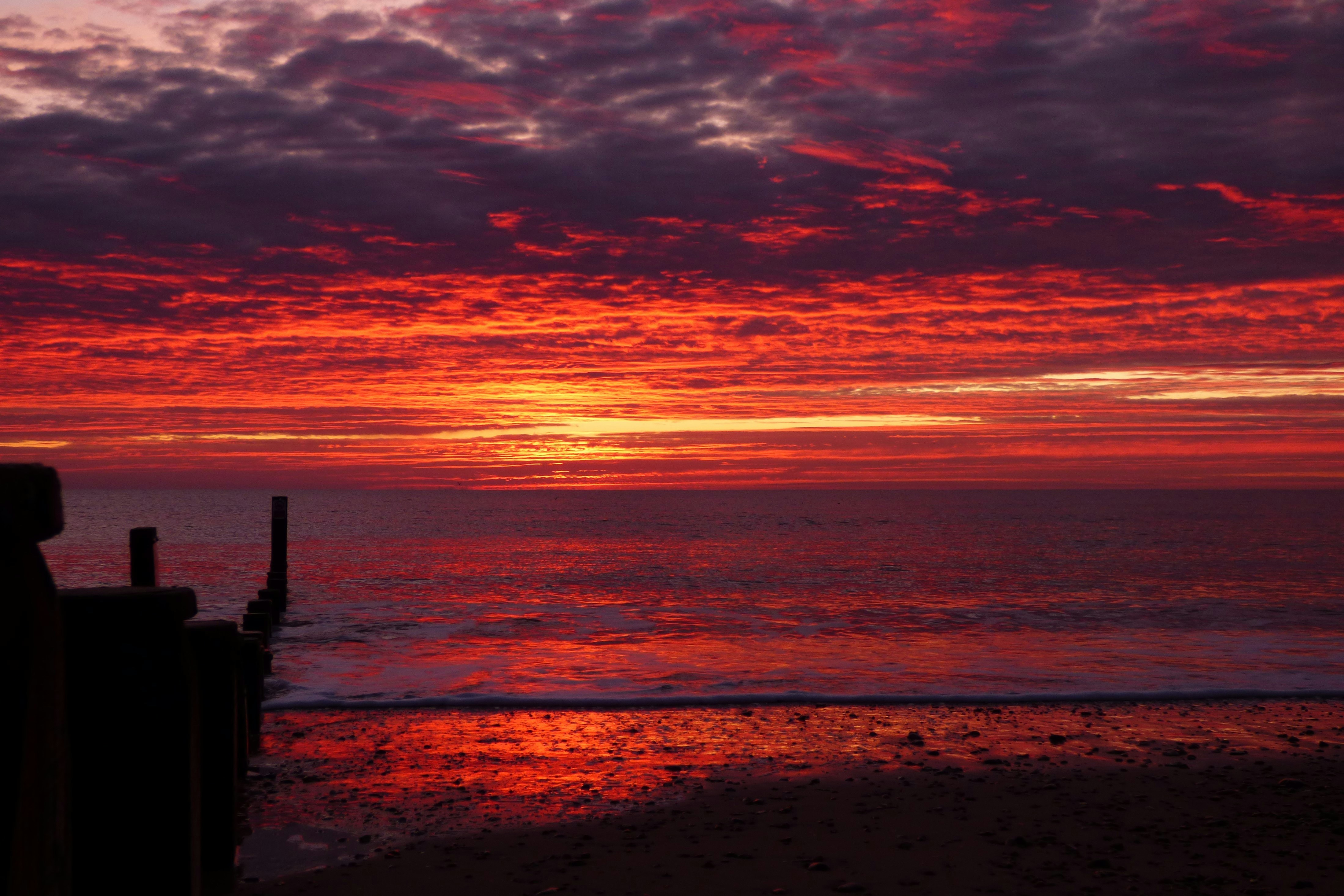 silhouette of people standing on beach during sunset