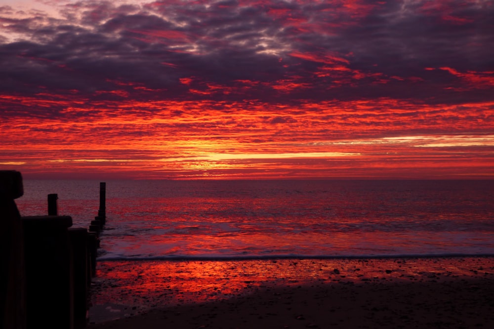 silhouette of people standing on beach during sunset