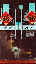 A small white dog stands behind glass doors adorned with red decorative signs and Chinese characters. The reflections and stickers on the door suggest a pet shop or grooming business. The dog appears to be looking outside, standing on a red mat with scattered yellow leaves.