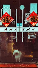 A small white dog stands behind glass doors adorned with red decorative signs and Chinese characters. The reflections and stickers on the door suggest a pet shop or grooming business. The dog appears to be looking outside, standing on a red mat with scattered yellow leaves.