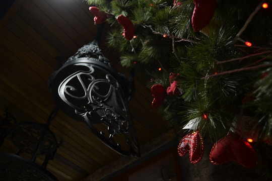 A darkly lit scene featuring a decorative metal lantern with intricate designs hanging from a wooden ceiling. Next to the lantern, a green pine tree branch is adorned with red ornamental hearts and small red lights, suggesting a festive decoration.