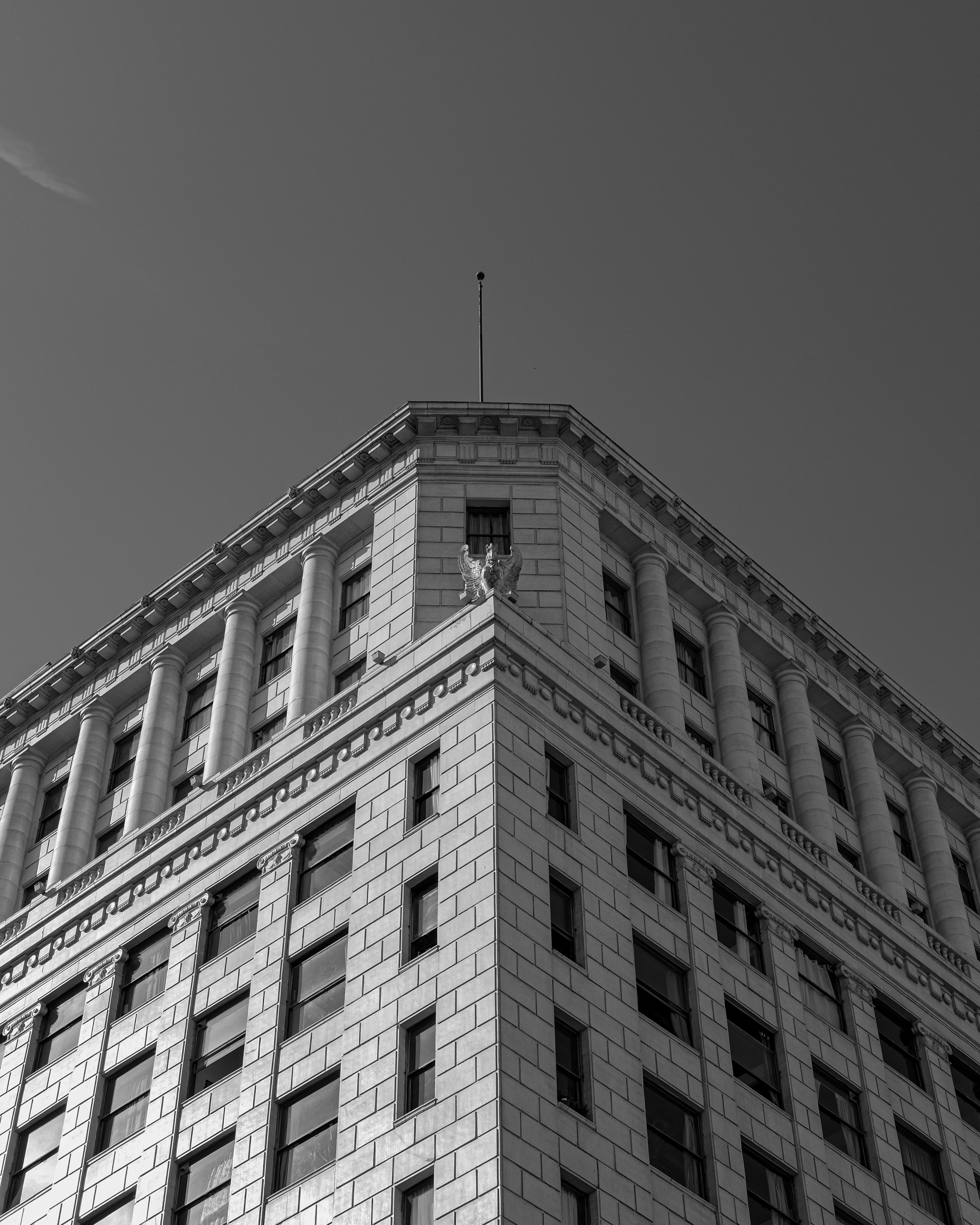 Photo by calvinslibrary