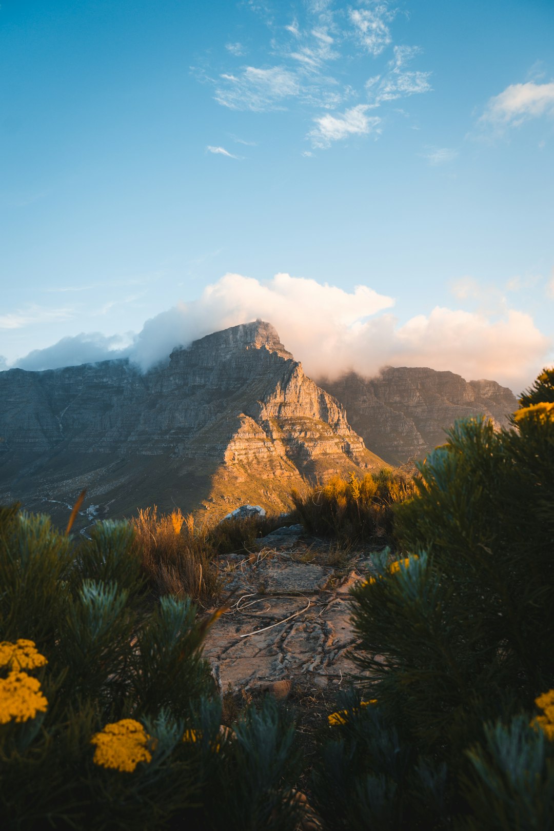 Mountain range photo spot Cape Town Hout Bay