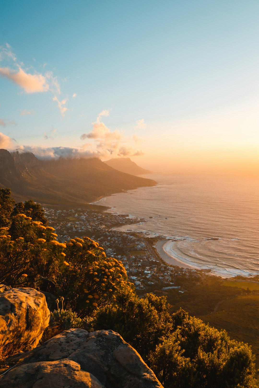 photo of Cape Town Shore near Table Mountain