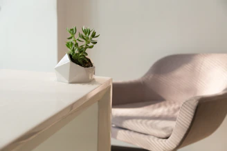 a chair and a table with a potted plant on it