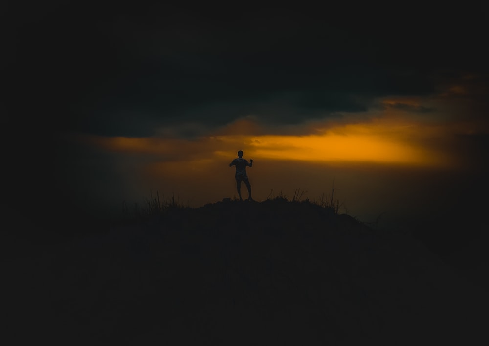 silhouette of person standing on grass field during sunset