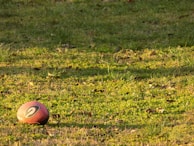Close-up of a football resting on the pitch under bright sunlight.