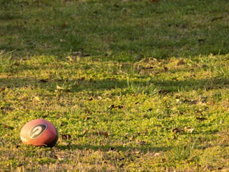 A football lies on a grassy field, illuminated by sunlight. The grass is lush with patches of green vegetation and scattered dry leaves.