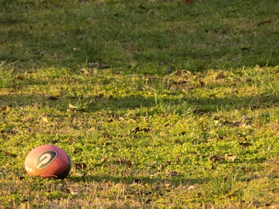 Close-up of a well-worn leather football resting on green grass under bright sunlight