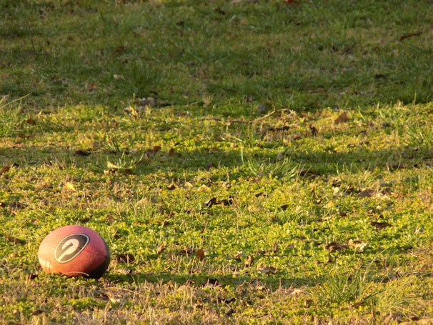 A football lies on a grassy field, illuminated by sunlight. The grass is lush with patches of green vegetation and scattered dry leaves.