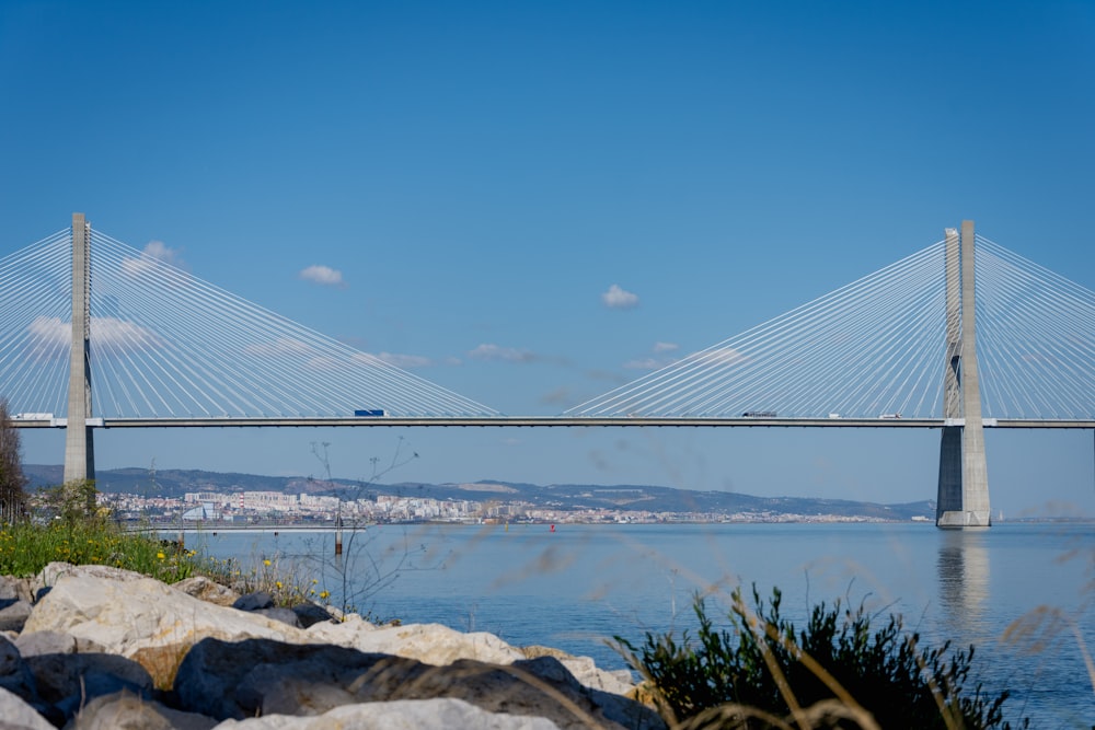 bridge over the sea during daytime